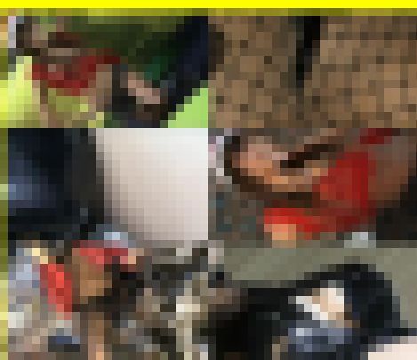 3772／「裏切り撮り・キャンちゃん危機一髪化作戦（46）」　サンプル画像1