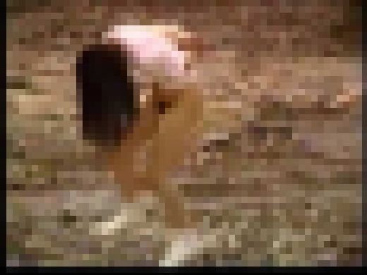 【記録映像】○隷教室　変態しつけ授業　Part 2　サンプル画像3