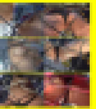 AI1578/「〔極限的画質盤〕たまらなくヒップなキャンギャル(3)」 サンプル画像2