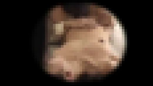 素人投稿映像　本物近●相●　美人な母との中出し交尾　完全隠し撮り 30人　#02　IQPA-097#02　サンプル画像1