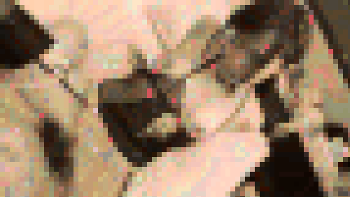 【個人撮影】激カワ美少女 さゆかちゃん 18歳?生ちんぽ挿入でビックンビックン痙攣絶頂！軟体ボディをガン突きされて崩壊寸前のオマンコに中出しする個人撮影【撮影承諾済み】　サンプル画像1