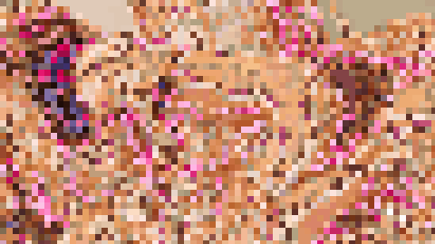 パパ活JDむつみちゃん☆中イキに目覚めたＪＤ娘を駅弁ＦＵＣＫ＆種付けプレスでセフレに堕とす?「ごめんなしゃいぃっ?」彼への謝罪アクメで潮吹きが止まらないドＭ女子大生をイカせ潰す連続中出し3Ｐセックス?　サンプル画像5