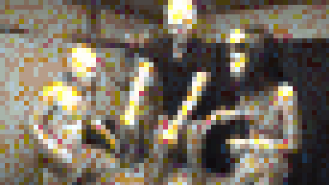 本日限定】5P・乱交個人撮影】再臨！原宿BFF♀２人組と乱交パーティ?魔法のオイルでテンアゲ！ウェイウェイからのマ！マジ卍キツまんにどぴゅどぴゅ種付け?ドキドキグループセックス個人撮影　素人　サンプル画像2