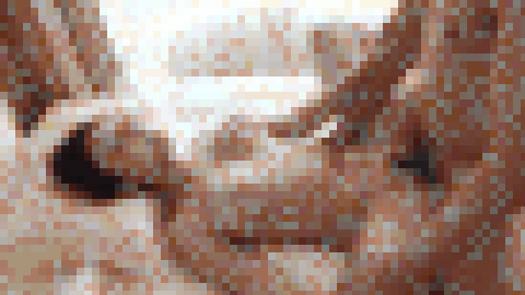 ●6ms限定４K版●【ママ活セレブ主婦3Ｐ】Iカップ巨乳妻えいみさん 29歳 巨根が欲しくてやってきたビッチ妻。オイル薬が効いた穴を巨根で犯されゴリ堕ち。腰くねらせ中出し懇願する旦那が見たら泣く映像【個人撮影】　サンプル画像10