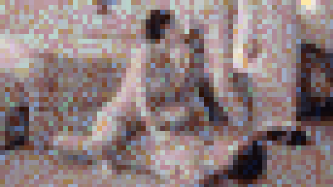 ●6ms限定４K版●【ママ活セレブ主婦3Ｐ】Iカップ巨乳妻えいみさん 29歳 巨根が欲しくてやってきたビッチ妻。オイル薬が効いた穴を巨根で犯されゴリ堕ち。腰くねらせ中出し懇願する旦那が見たら泣く映像【個人撮影】　サンプル画像6