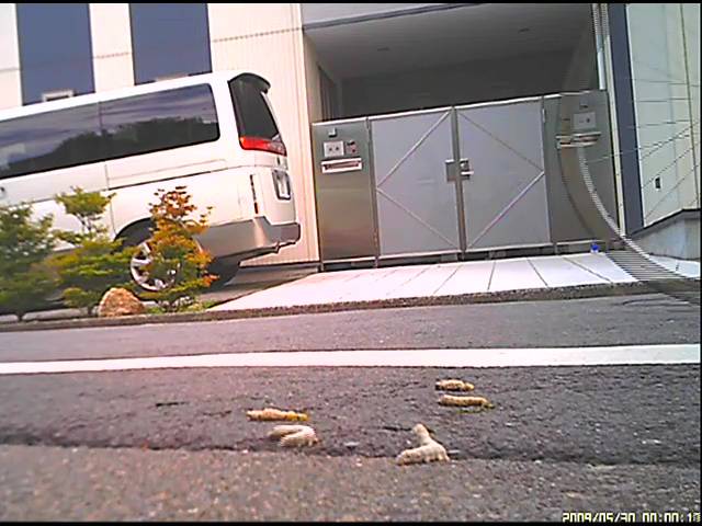 【復刻版】女子大生のサンダルやスニーカーがイモムシを踏み潰す!　サンプル画像12
