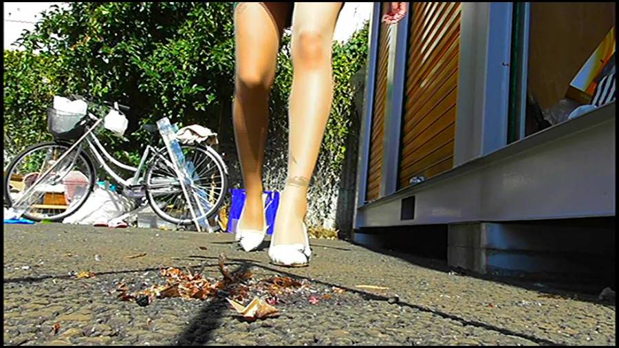 黒髪女性が生ストッキングで巨大ゴキブリを踏み潰す!-後編-　サンプル画像11