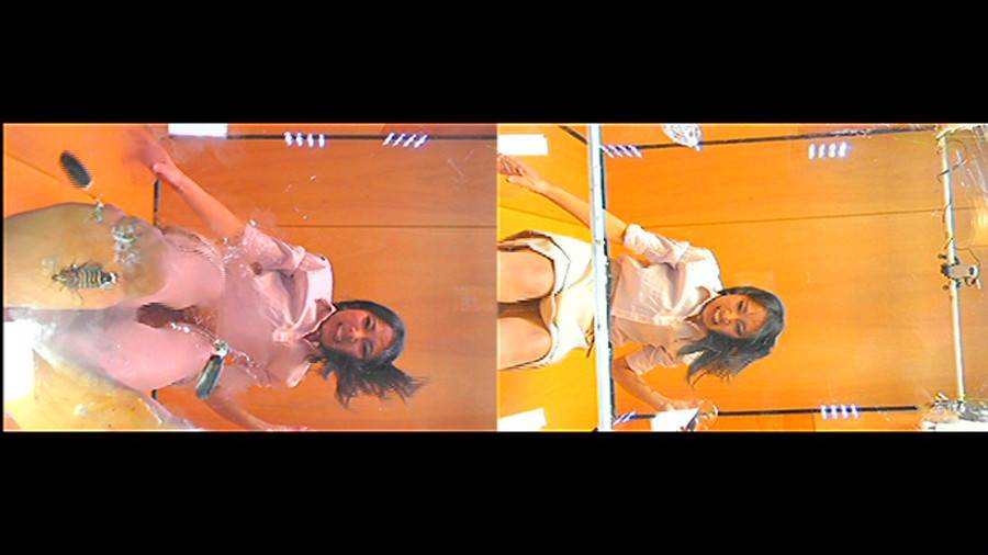 黒髪女性が巨大ゴキブリを一匹ずつ全体重をかけグリグリと生ストッキングで踏む!-前編-　サンプル画像01