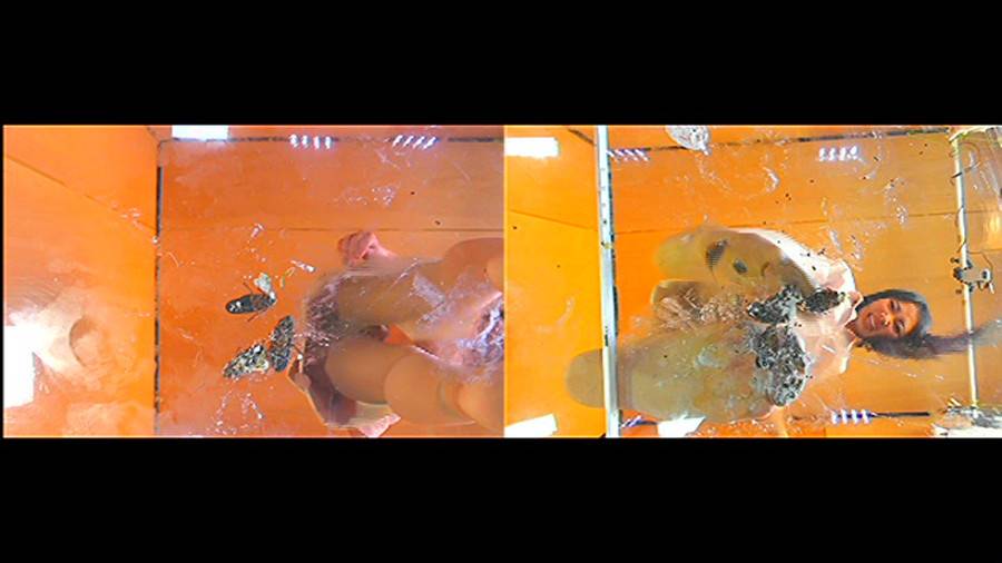 黒髪女性が巨大ゴキブリを一匹ずつ全体重をかけグリグリと生ストッキングで踏む!-前編-　サンプル画像03